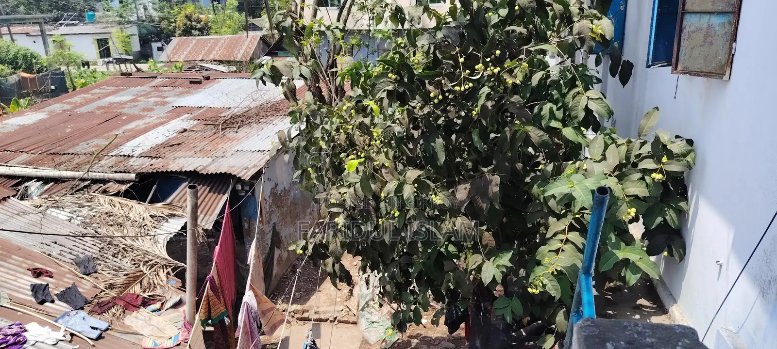 বাড়ি সহ জমি বিক্রি