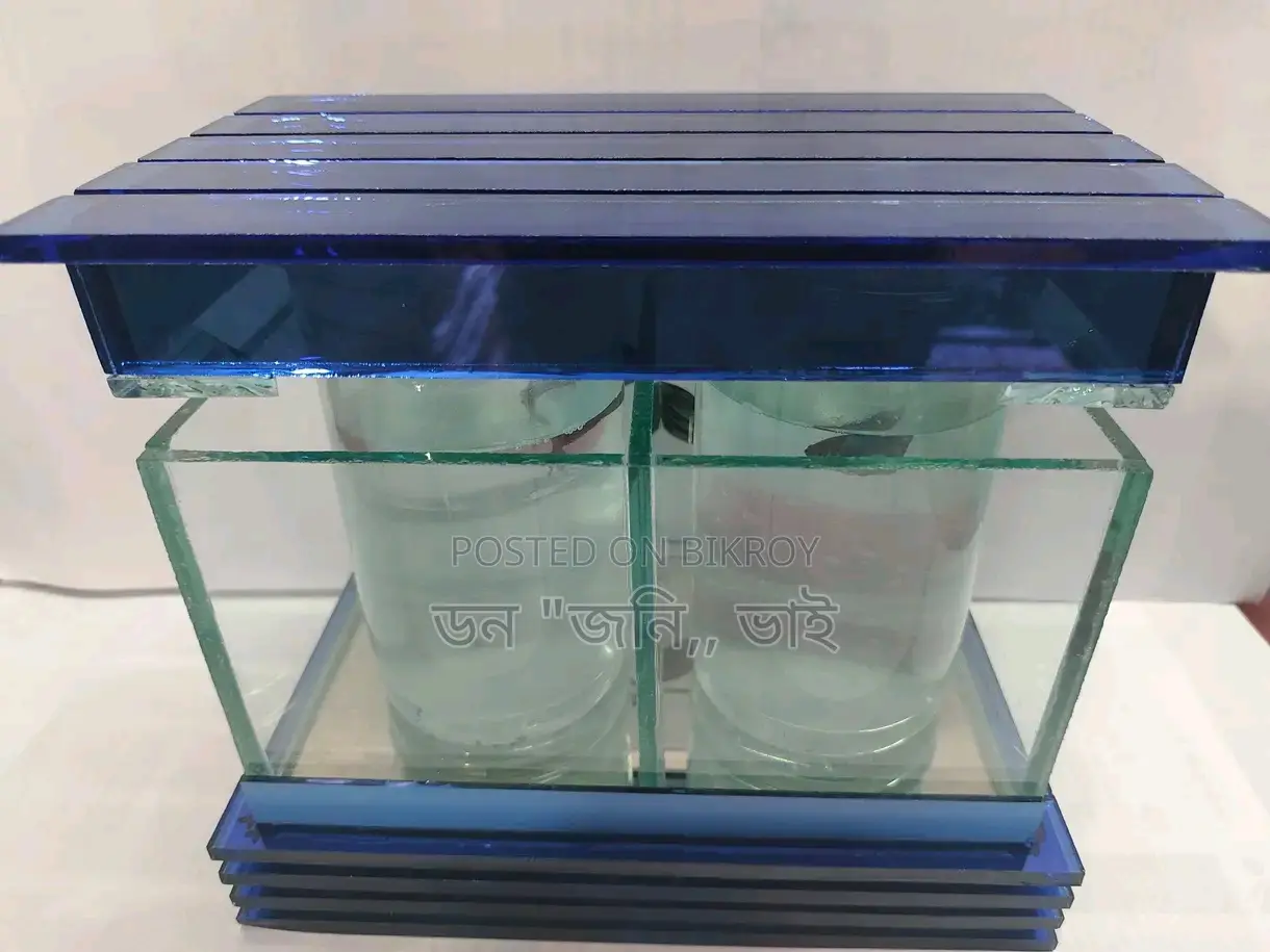 Fighter Fish and Aquarium