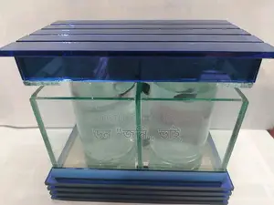 Fighter Fish and Aquarium