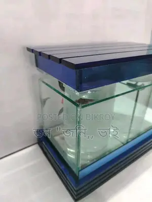 Fighter Fish and Aquarium
