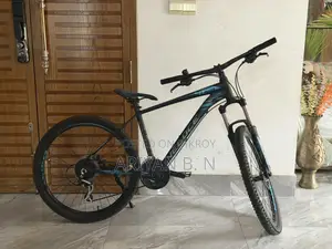 Veloce Bicycle for sale