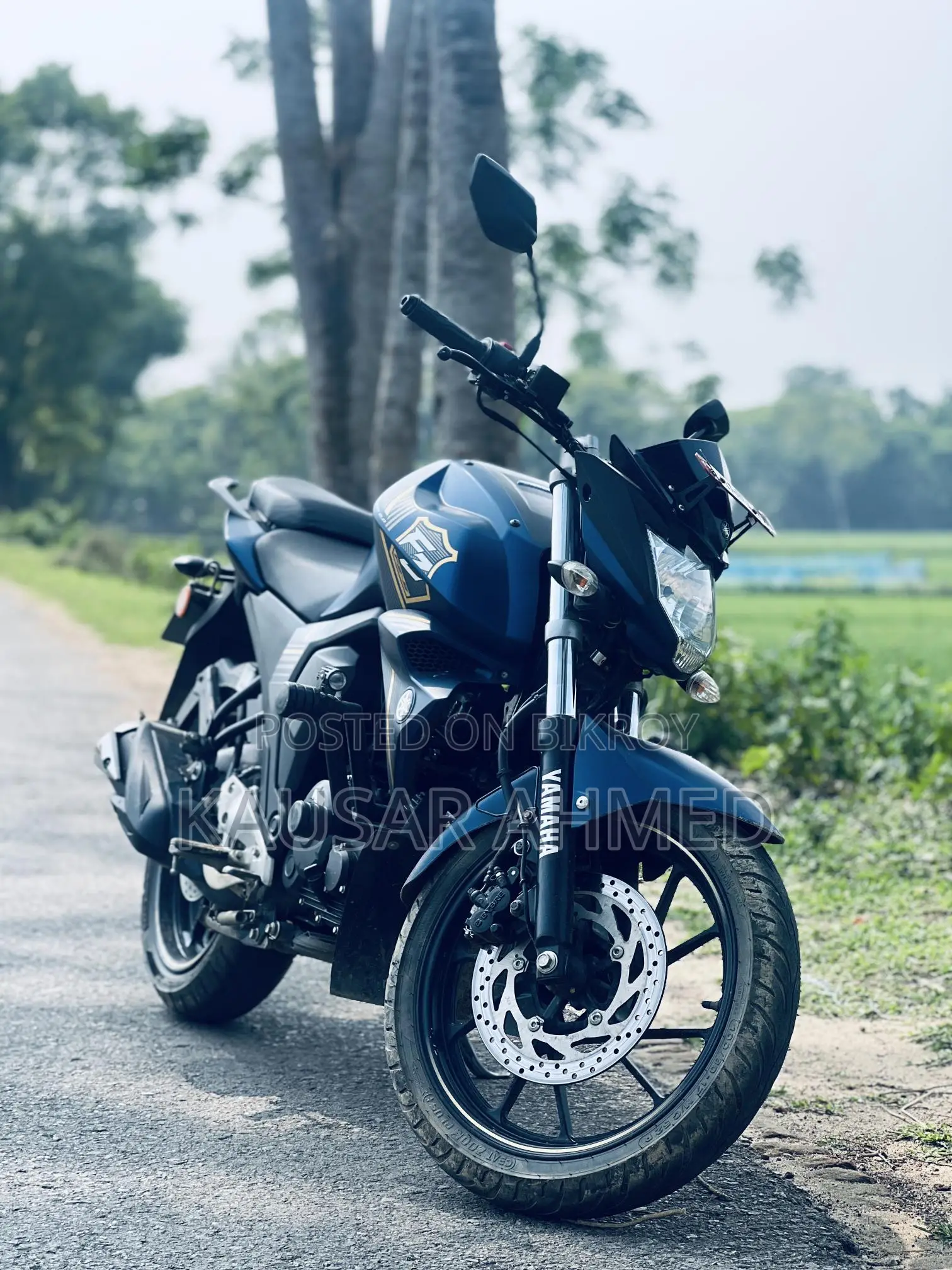 Yamaha FZs V2 2023