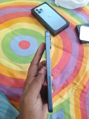 Apple iPhone 13 Pro Max 256GB (Used)