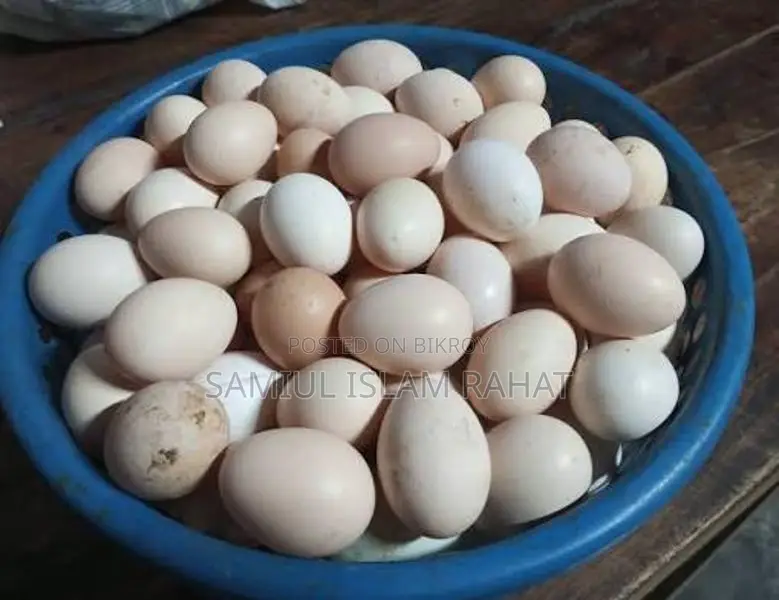 দেশি মুরগির ডিম
