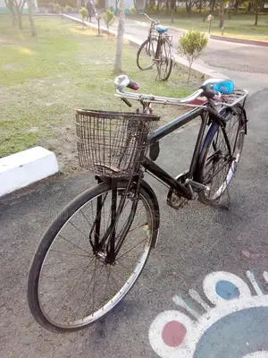 Bicycle for sale.
