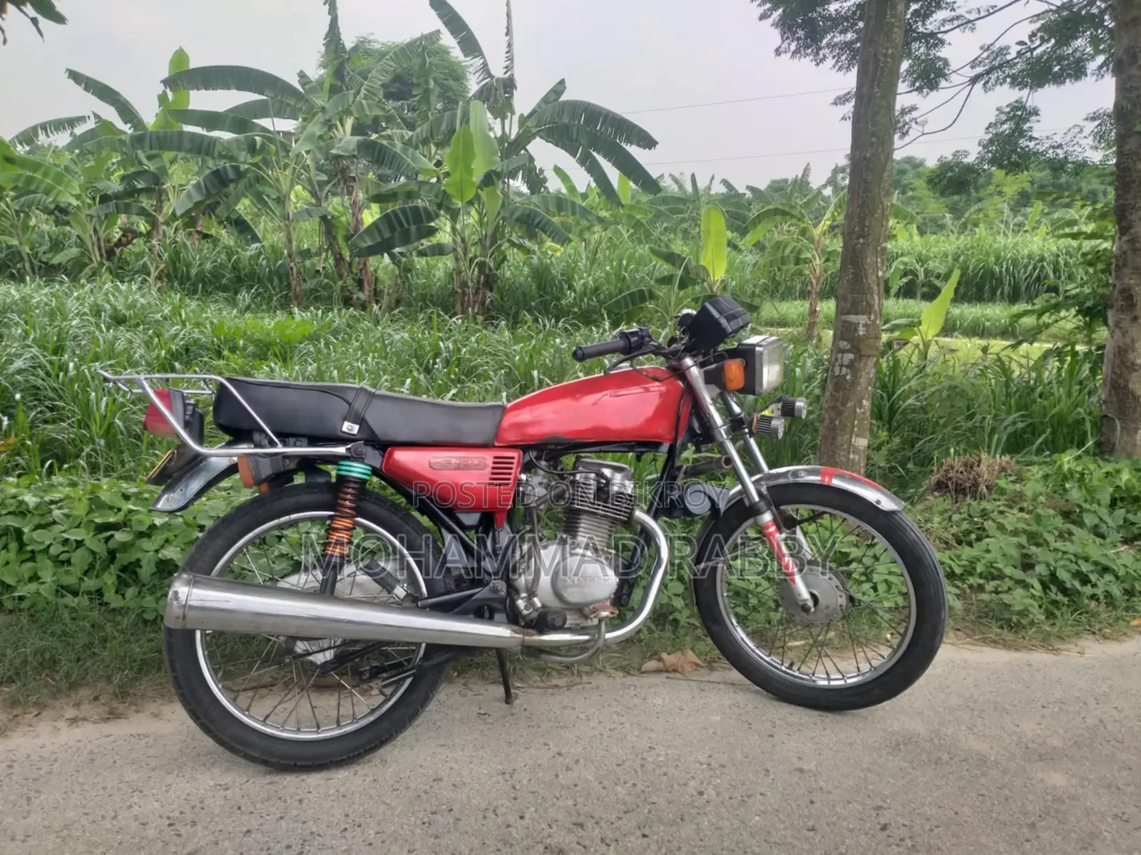 জিংফু ১২৫সিজি ১৯৯৮