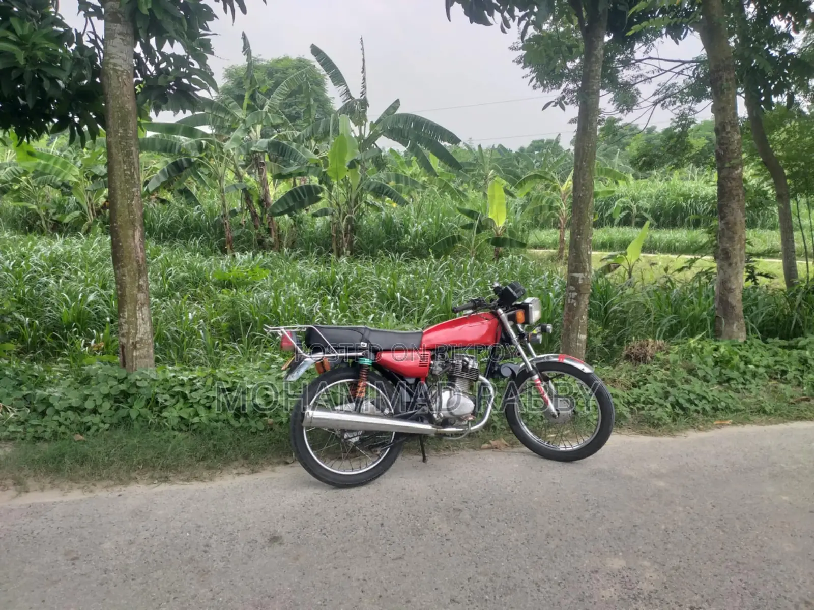 জিংফু ১২৫সিজি ১৯৯৮