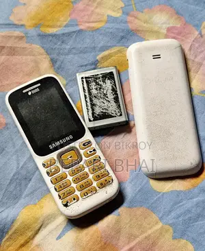 Samsung Guru Music 2 (Used)