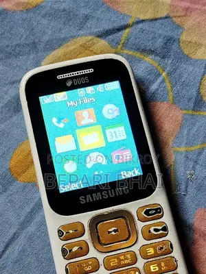Samsung Guru Music 2 (Used)