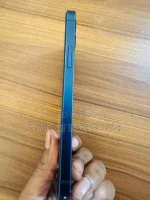 Apple iPhone 12 (Used)