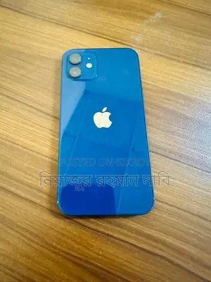 Apple iPhone 12 (Used)
