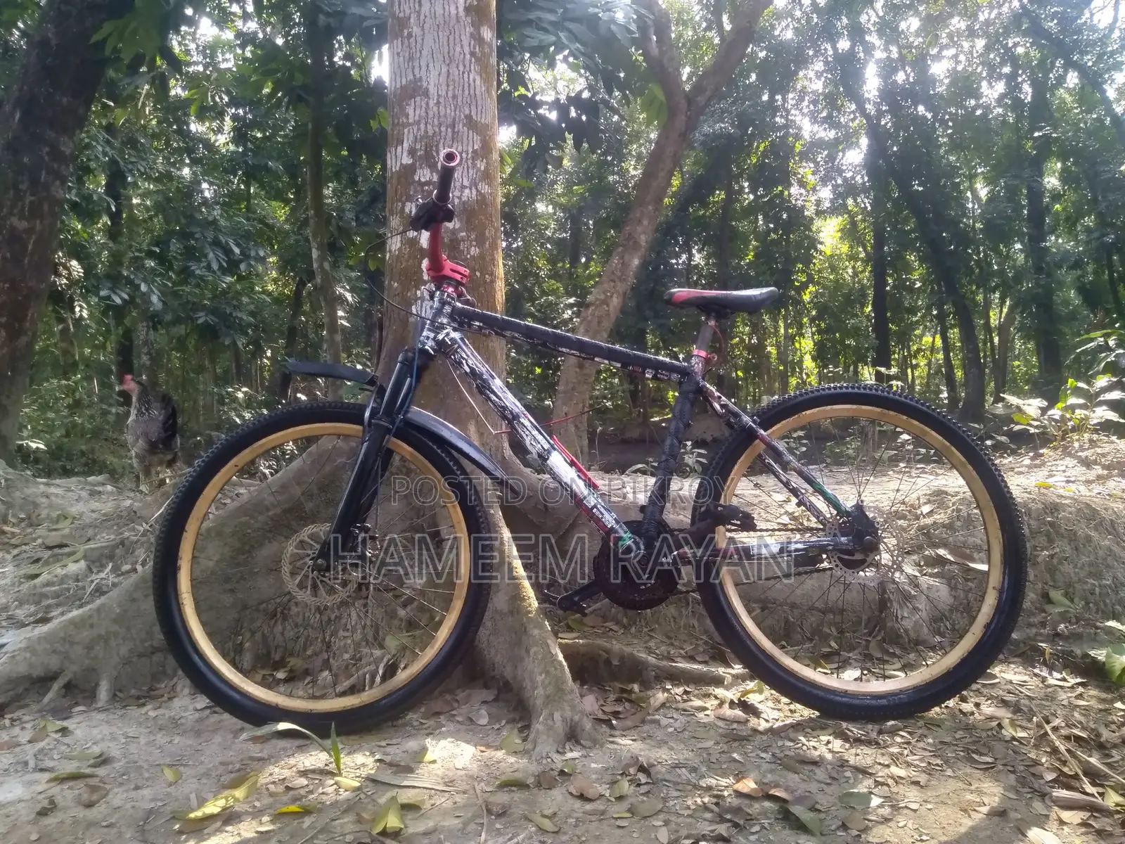 Customize Cycle