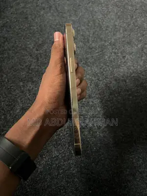 Apple iPhone 12 Pro Max 128 (ব্যবহৃত)