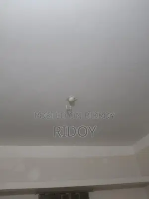 Mini Flat in Mohakhali for rent