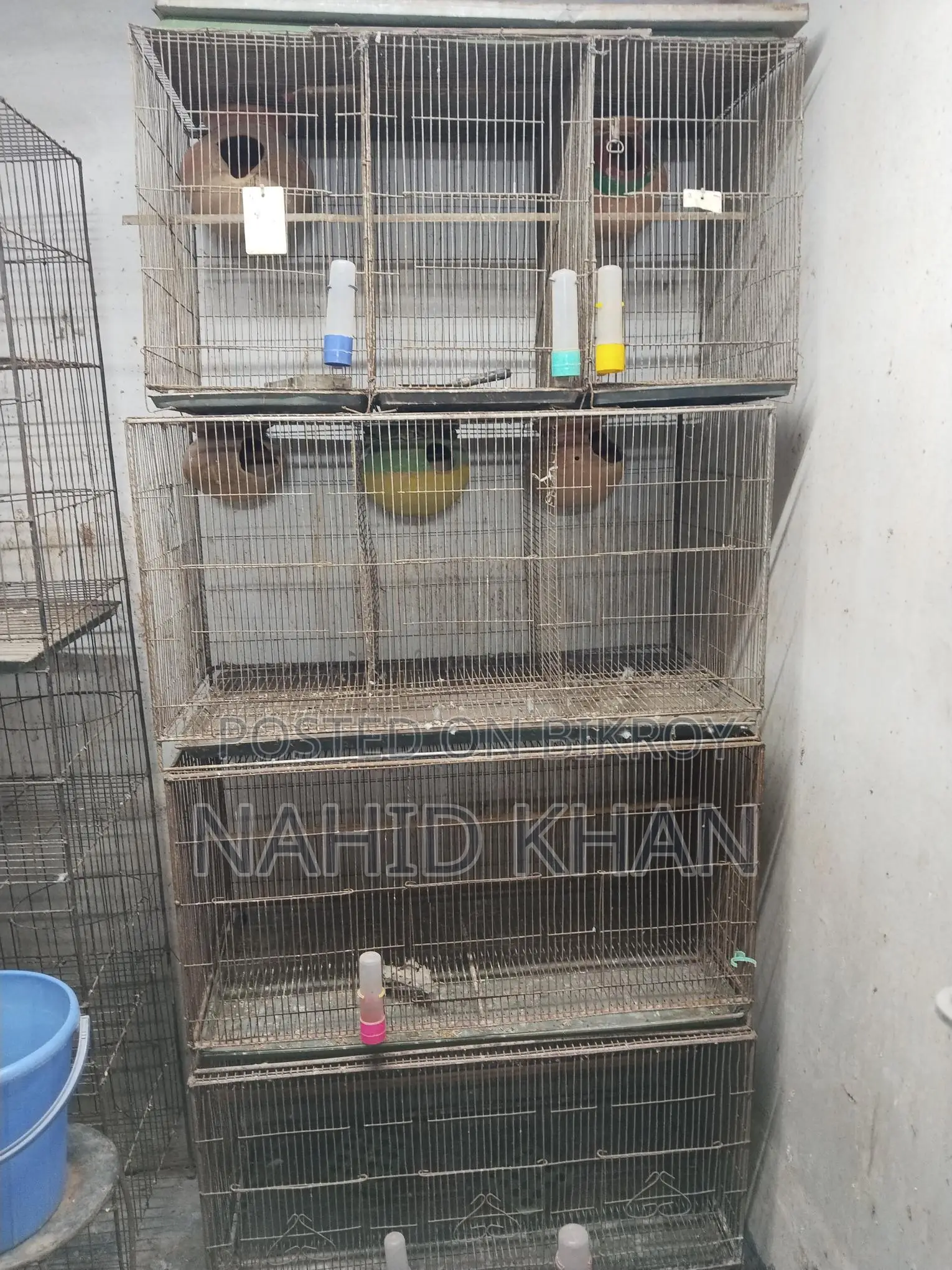 Bird Cages