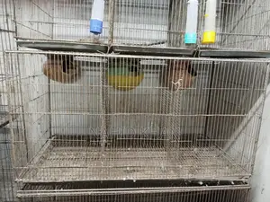 Bird Cages