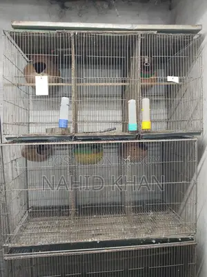 Bird Cages