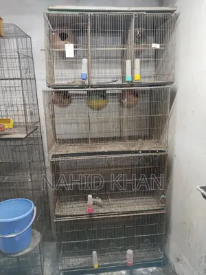 Bird Cages