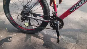 Custom Cycle