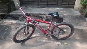 Custom Cycle