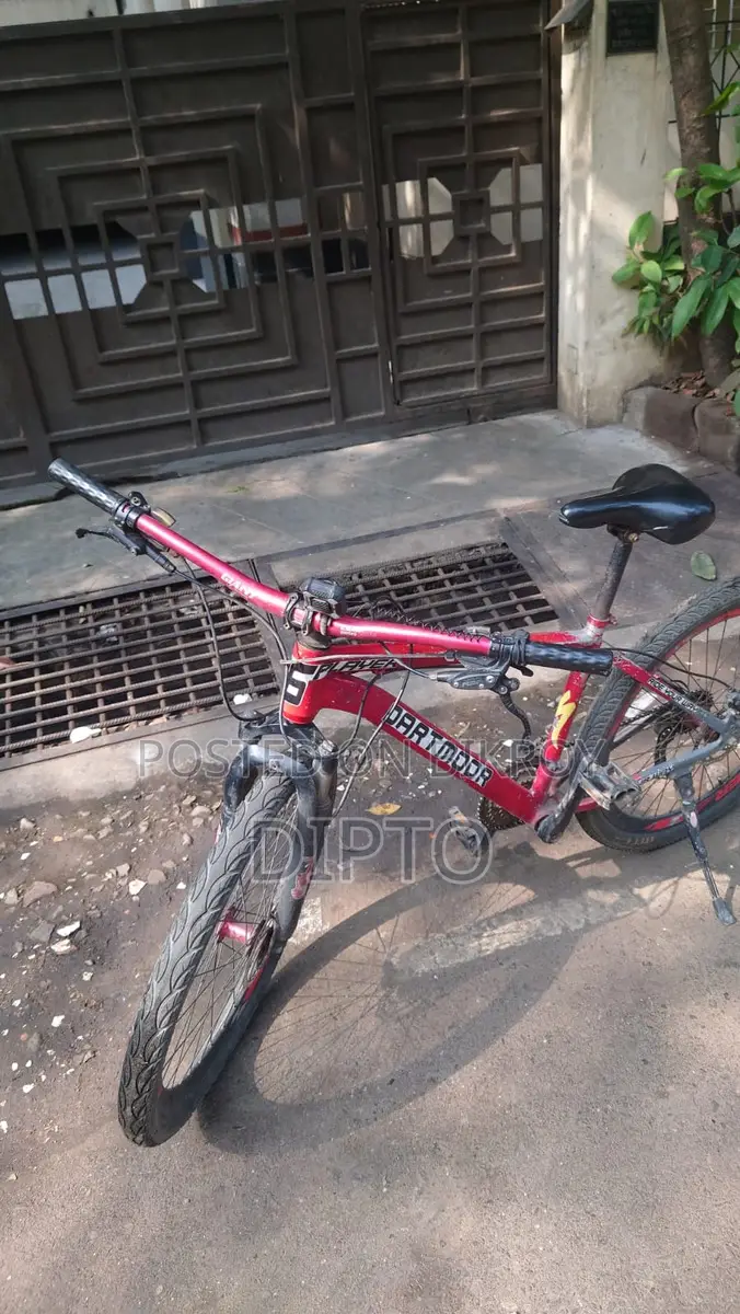 Custom Cycle