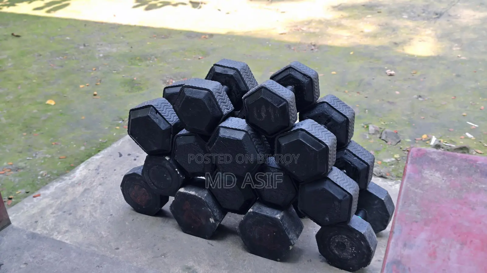 Dumbbells for Gym