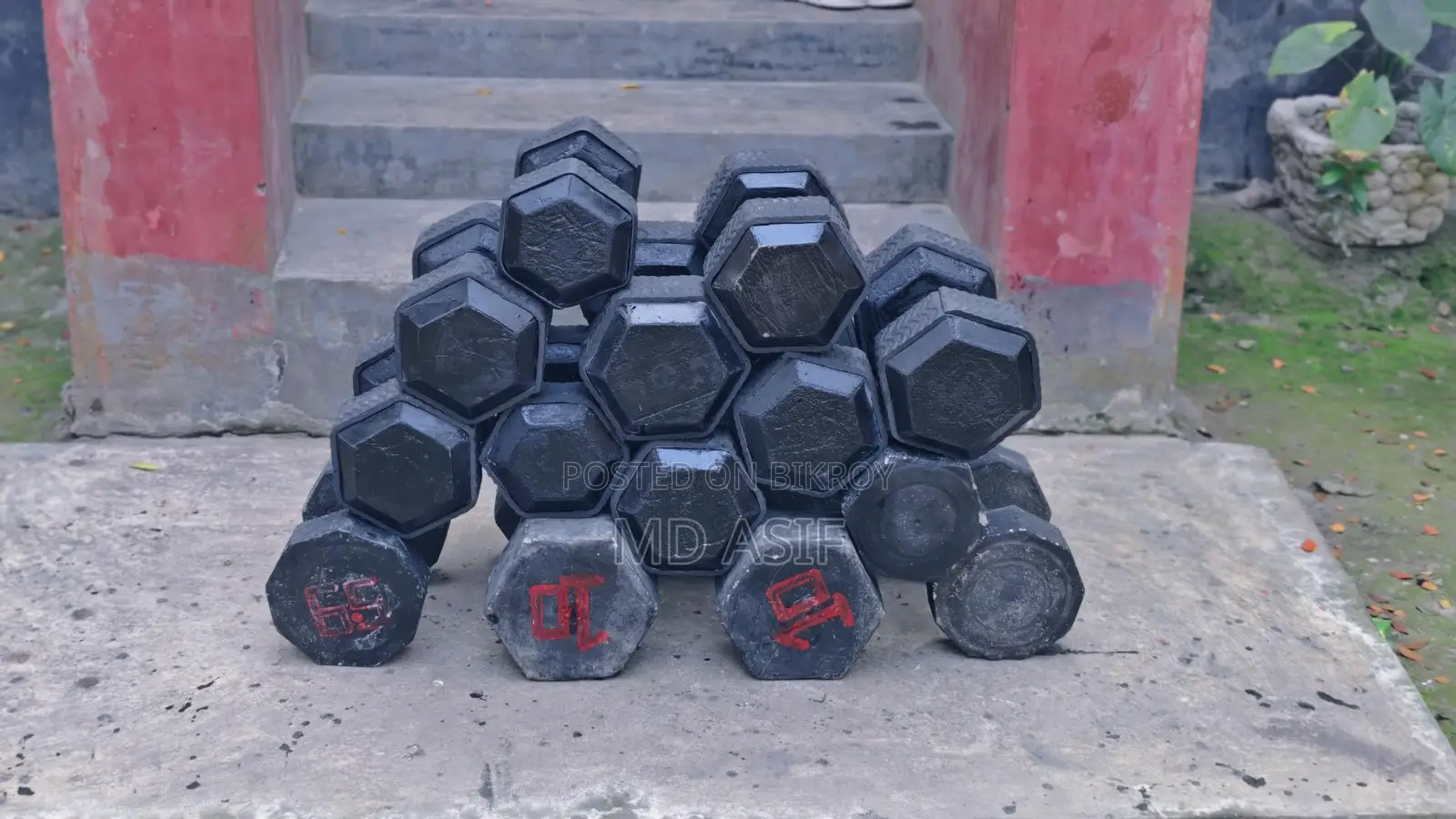 Dumbbells for Gym