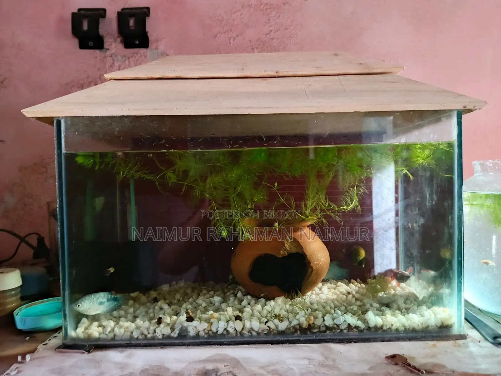 Aquarium