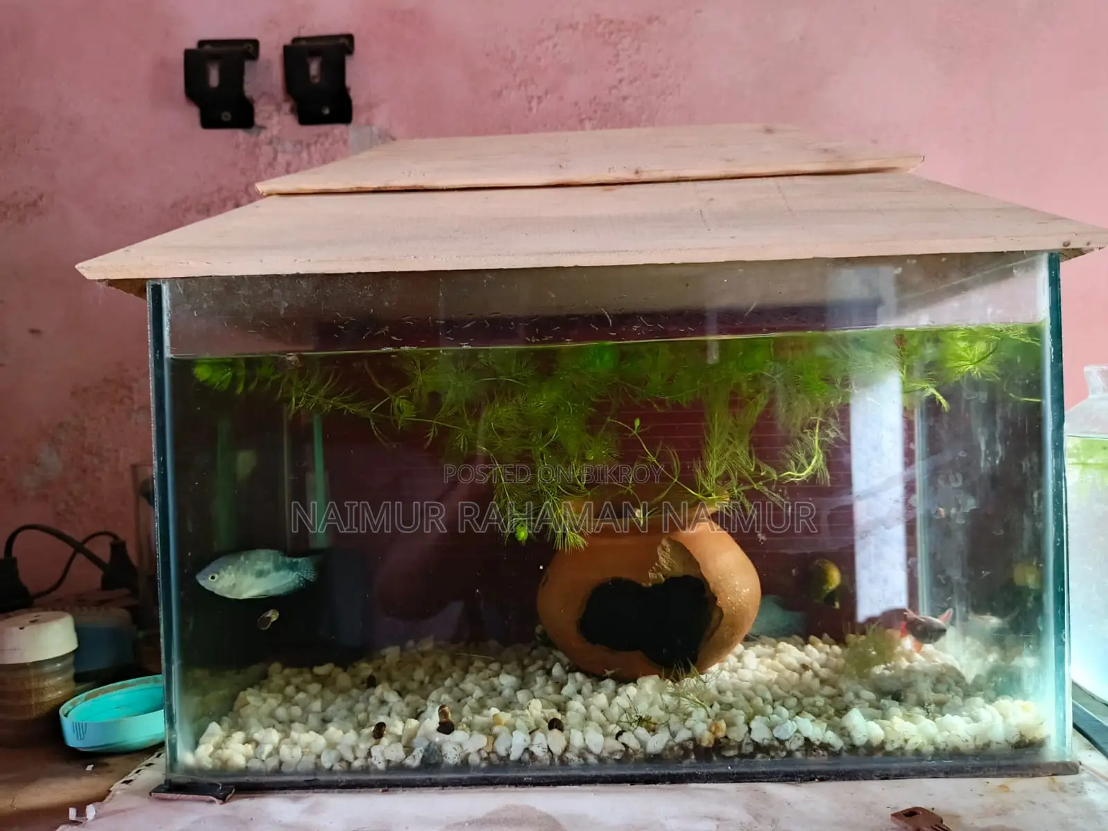 Aquarium