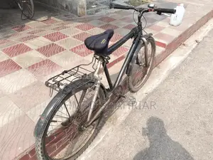 Ranger Max Bicycle