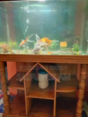 Aquarium and fish for sale