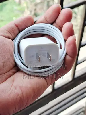 Apple 20w Charger 100% Original