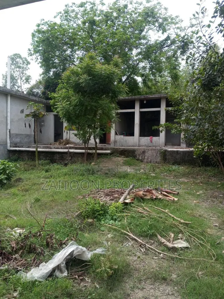 বিলাসবহুল এই বাংলো বাড়ি হতে পারে আপনার স্বপ্নের ঠিকানা।