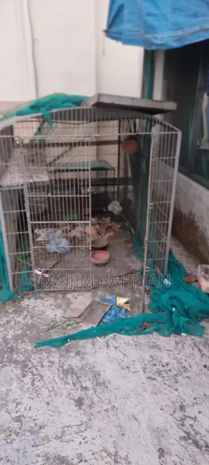 Big Cage