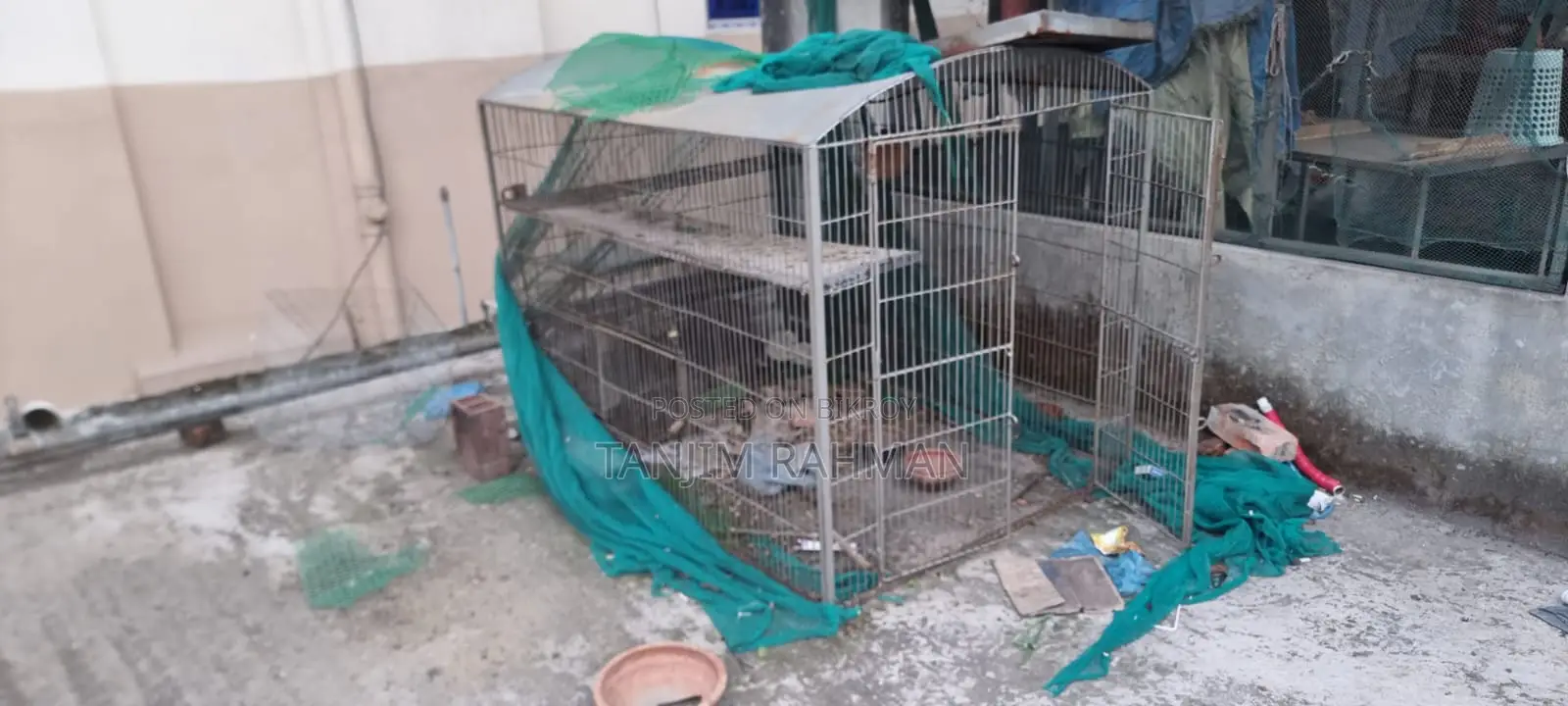 Big Cage