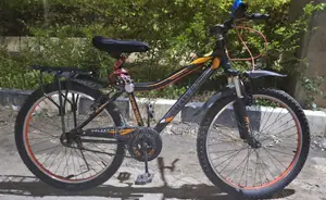 Bicycle for Sale