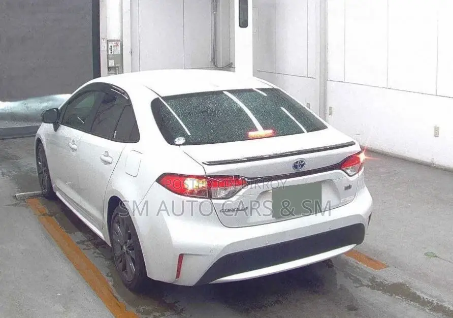 Toyota Corolla WXB Pearl 4 Point 2021