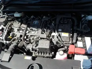 Toyota Corolla WXB Pearl 4 Point 2021