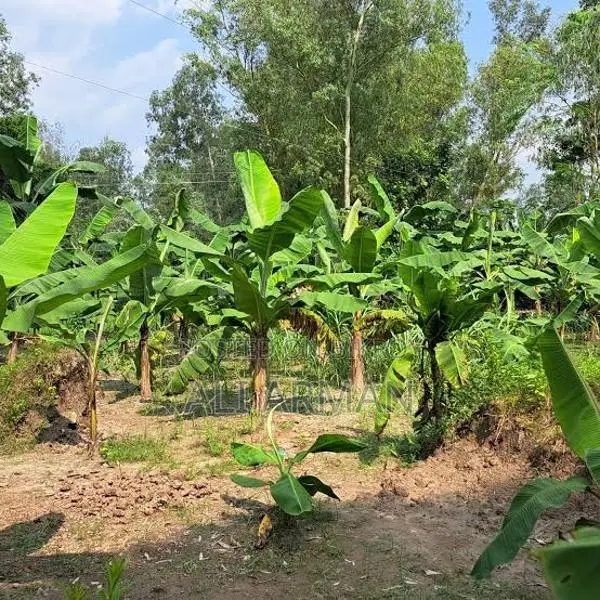 Land for sale