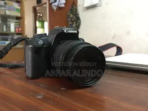 Cannon 500D-Authentic