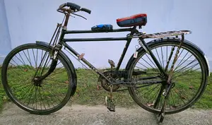 Classic Bicycle (Customized) - Supports Over 150kg Load