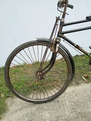 Classic Bicycle (Customized) - Supports Over 150kg Load