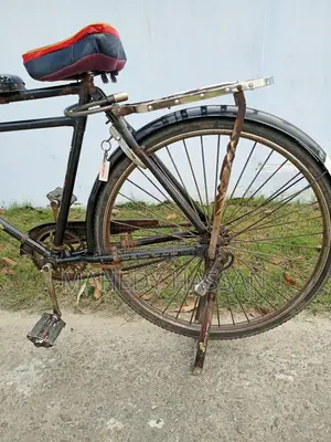 Classic Bicycle (Customized) - Supports Over 150kg Load