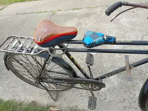 Classic Bicycle (Customized) - Supports Over 150kg Load