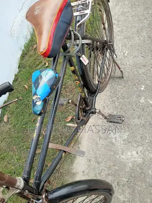 Classic Bicycle (Customized) - Supports Over 150kg Load