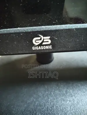 Gigasonic LED 17-inch monitor