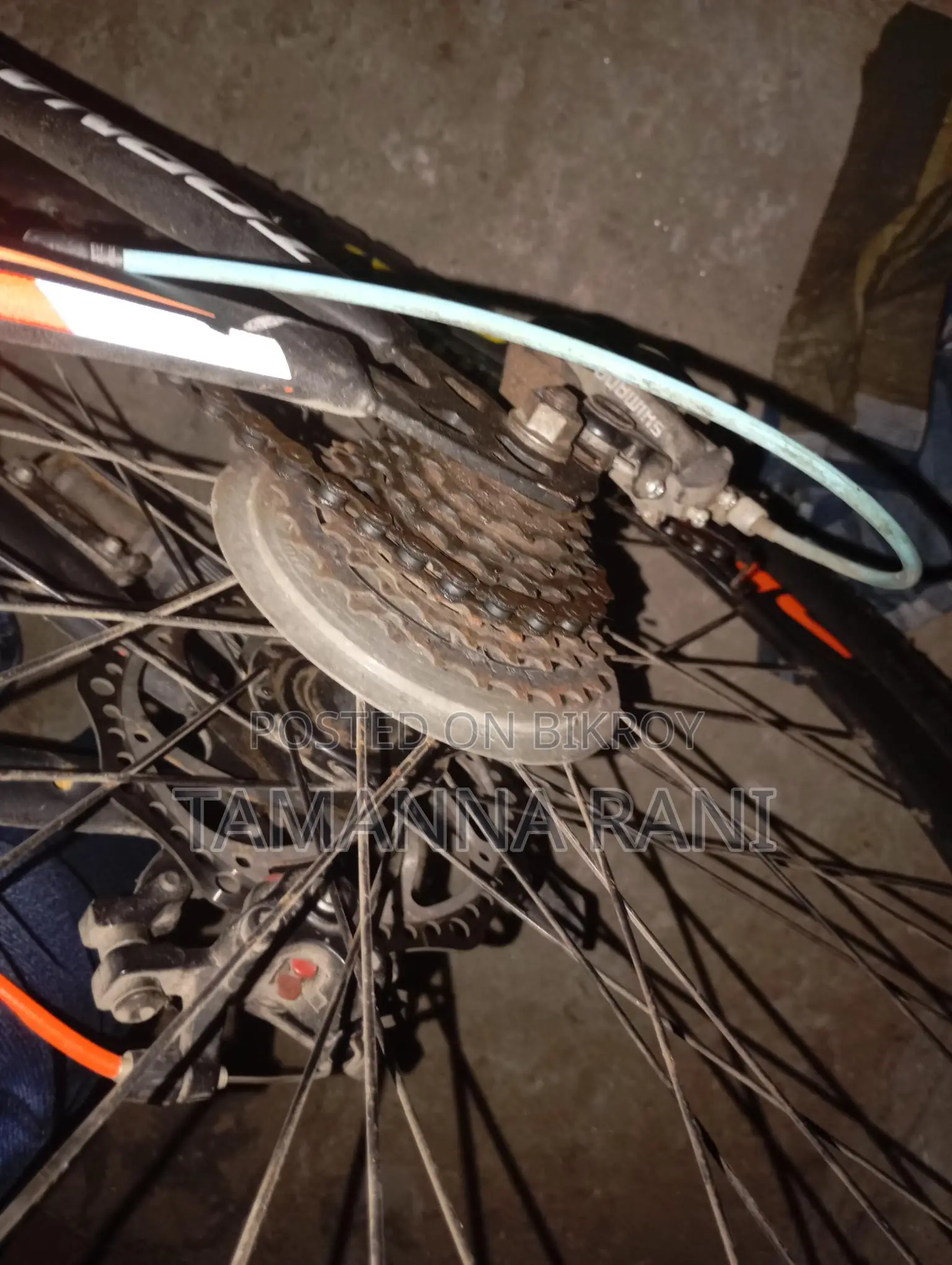 ফোনেক্স সাইকেল