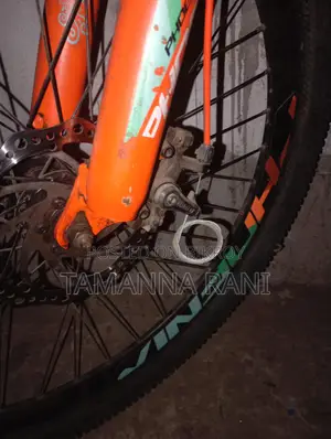 ফোনেক্স সাইকেল