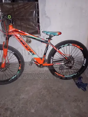 ফোনেক্স সাইকেল