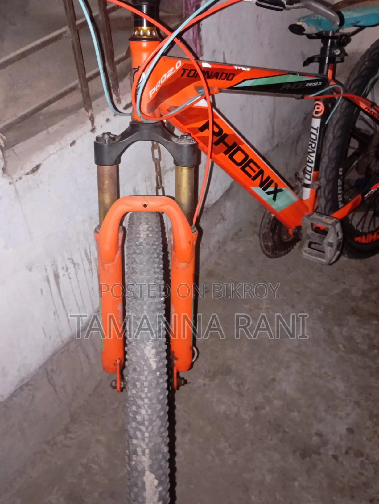 ফোনেক্স সাইকেল